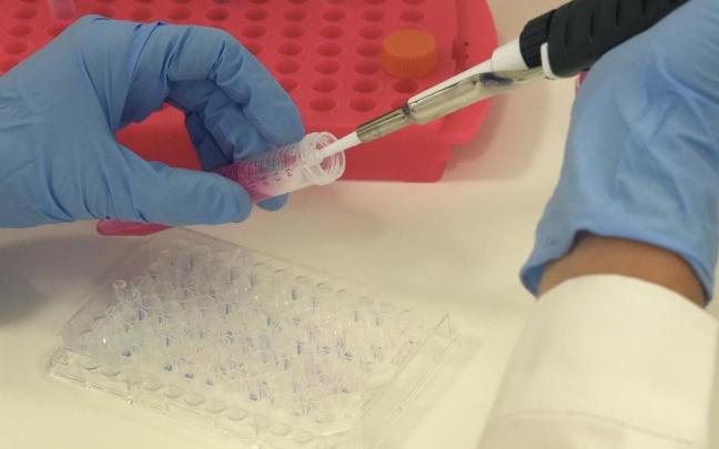 En 8 de 12 pacientes después de 9 semanas de tratamiento mostraban que se había detenido el crecimiento del tumor y estaba estable.