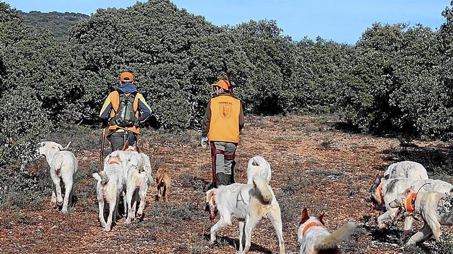 Rehalas y rehleros, en el monte trabajando. | FOTO: CEDIDA