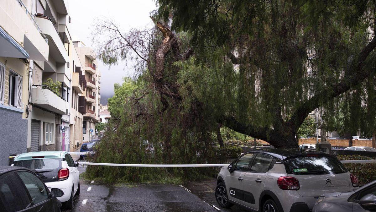 Las fuertes lluvias han provocado un centenar de incidencias en Canarias.