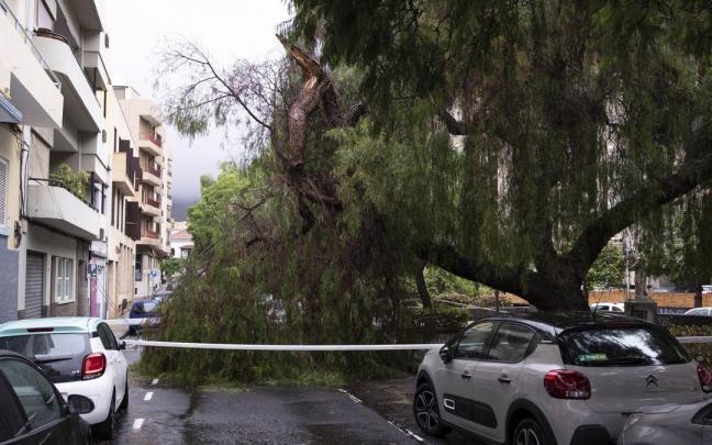 Las fuertes lluvias han provocado un centenar de incidencias en Canarias. Las fuertes lluvias han provocado un centenar de incidencias en Canarias.