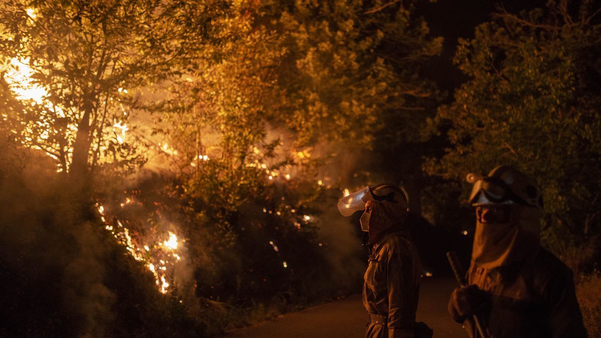 Trabajos de extinción de un incendio en Galicia.