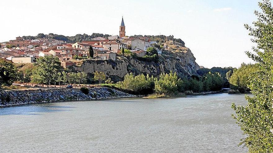 Vista de la localidad ribera de Milagro.