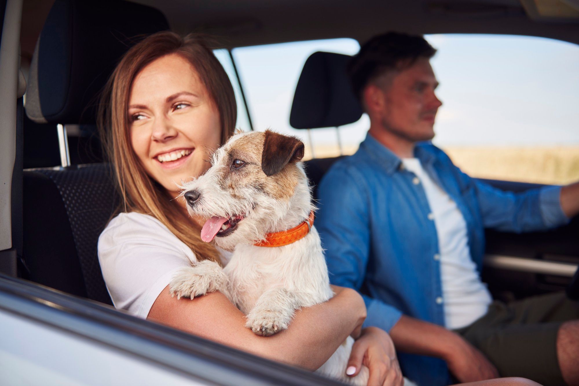 Una pareja viaja en el coche con su perro.