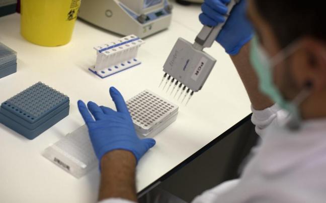 Un profesional de Microbiología del HUN analiza muestras PCR de coronavirus.