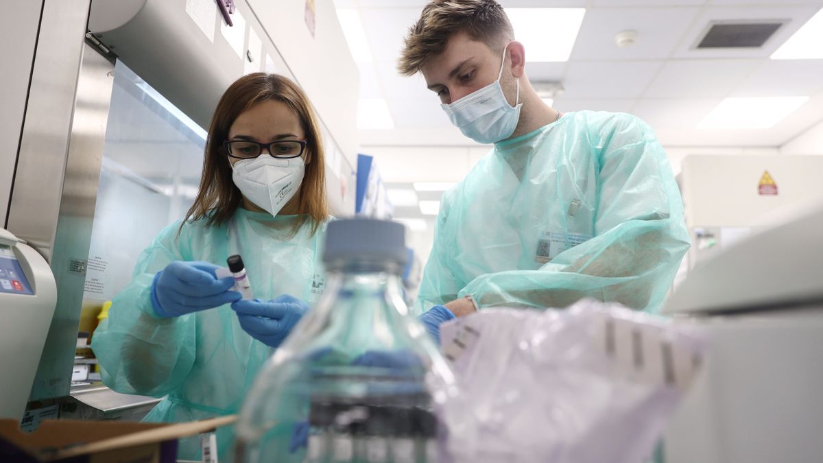 Varios técnicos de laboratorio trabajan con pruebas PCR para la detección de viruela del mono.