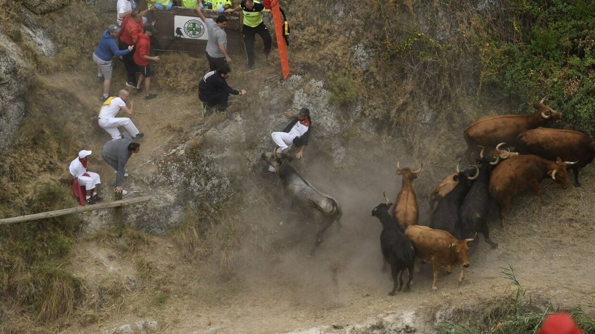Uno de los animales alcanza a un corredor