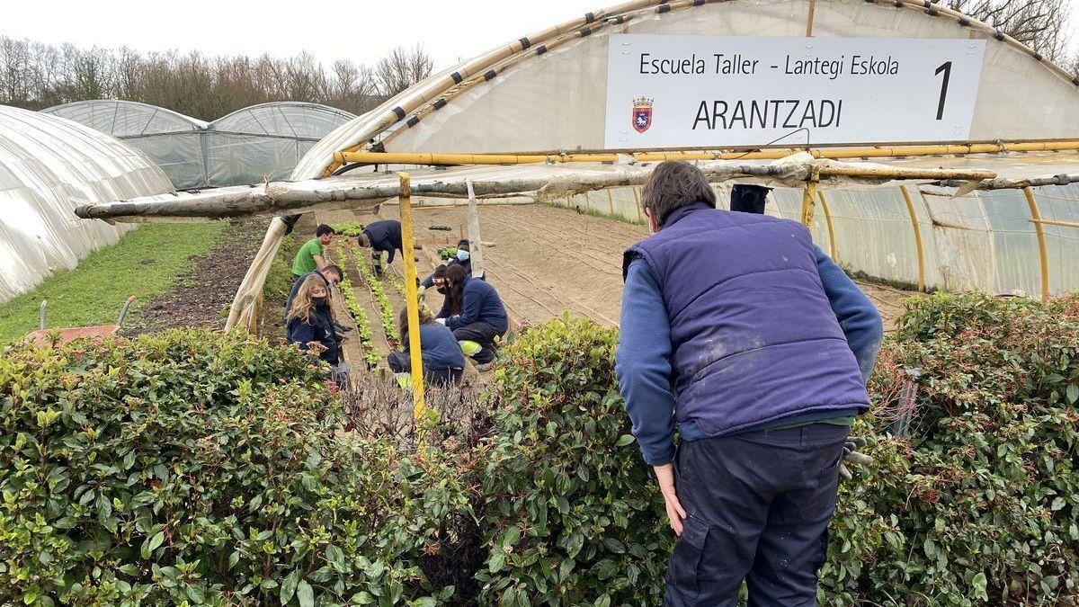 Imagen de recurso de un huerto de la escuela taller