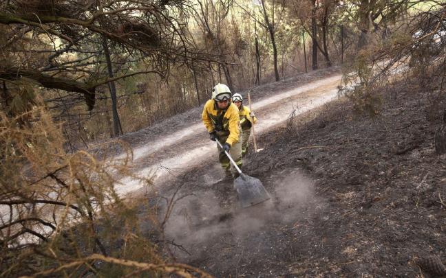 Guardas forestales vigilan una zona arrasada por el fuego Guardas forestales vigilan una zona arrasada por el fuego