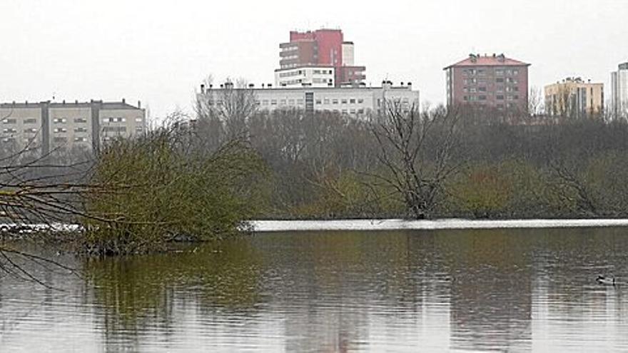 Una de las balsas de Salburua y, de fondo, parte de la trama urbana del barrio del este de la capital alavesa.