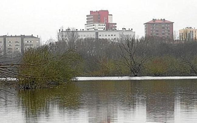 Una de las balsas de Salburua y, de fondo, parte de la trama urbana del barrio del este de la capital alavesa. Una de las balsas de Salburua y, de fondo, parte de la trama urbana del barrio del este de la capital alavesa.