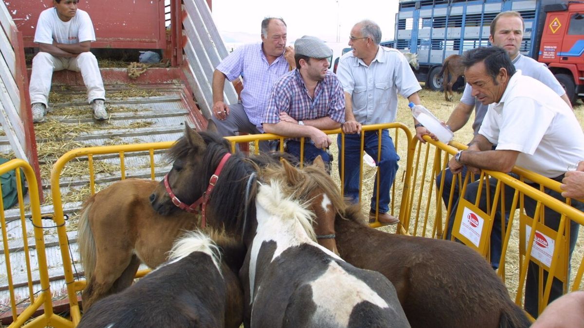 Imagen de archivo de unos ponis en la feria de ganado de San Fermín.