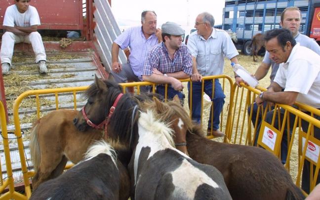 Imagen de archivo de unos ponis en la feria de ganado de San Fermín. Imagen de archivo de unos ponis en la feria de ganado de San Fermín.