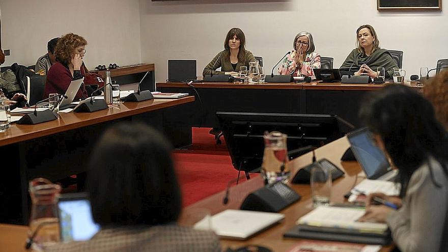 Representantes del Cermin, ayer en el Parlamento. | FOTO: OSKAR MONTERO