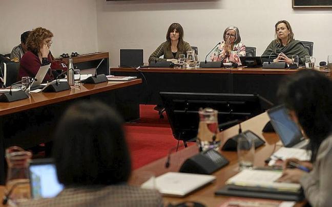 Representantes del Cermin, ayer en el Parlamento. | FOTO: OSKAR MONTERO