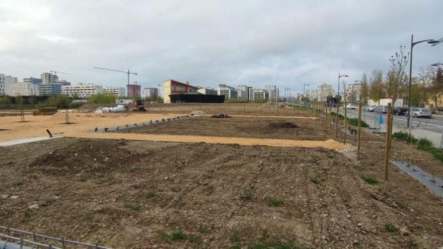 Nuevas huertas en Borinbizkarra.