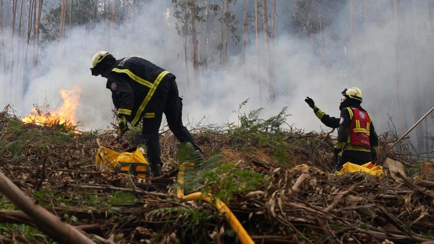 Efectivos de los bomberos tratan de sofocar el incendio de Berango