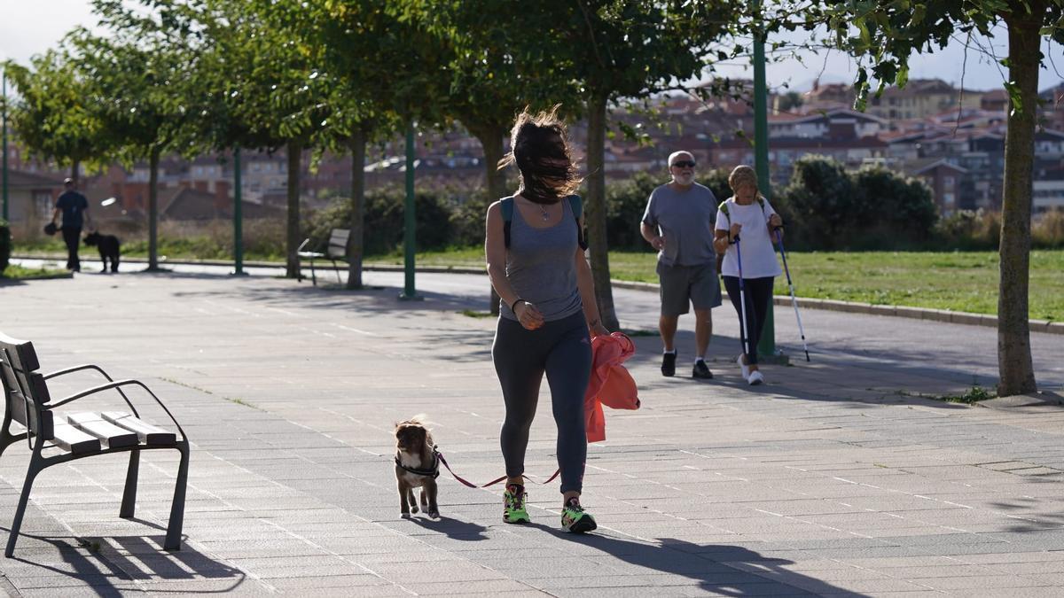 El viento está soplando con fuerza este domingo en Bizkaia