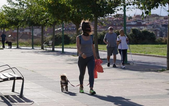 El viento est&aacute; soplando con fuerza este domingo en Bizkaia