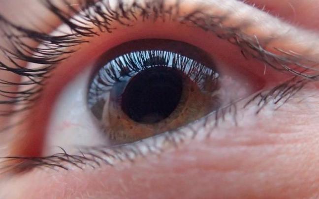 Las enfermedades que pueden dar lugar a un d&eacute;ficit visual grave son la degeneraci&oacute;n macular asociada a la edad, el glaucoma y la miop&iacute;a.