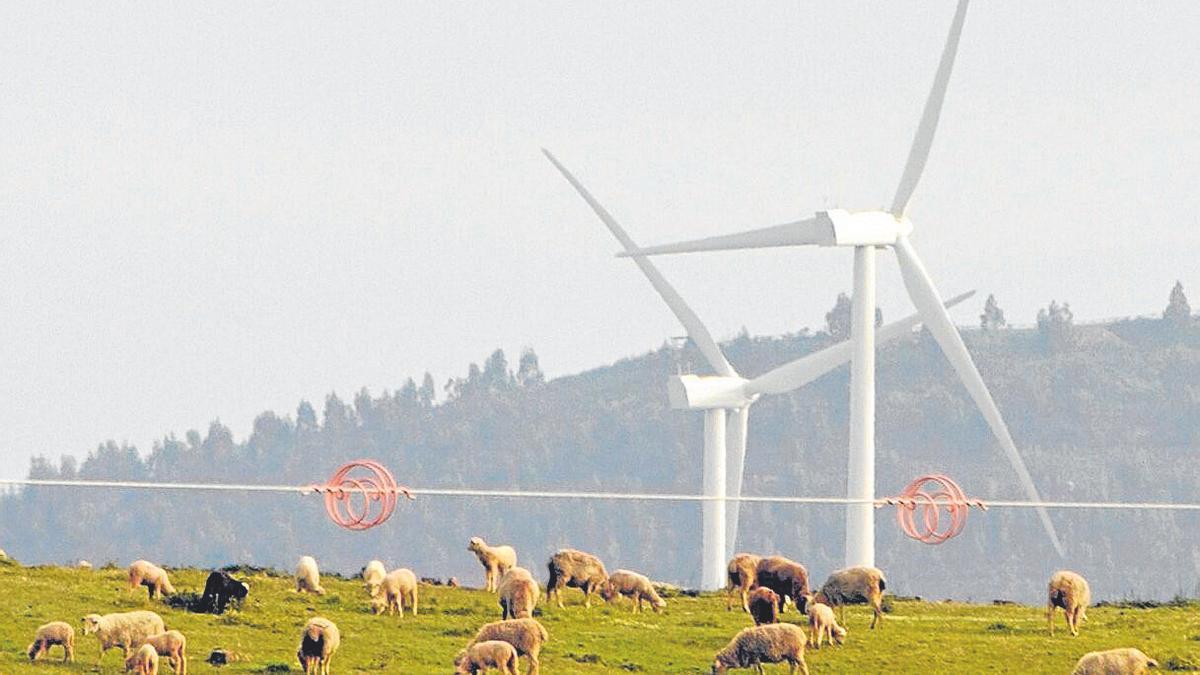 Instalación eólica ajena a esta información. | FOTO: EFE