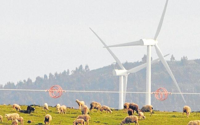 Instalaci&oacute;n e&oacute;lica ajena a esta informaci&oacute;n. | FOTO: EFE