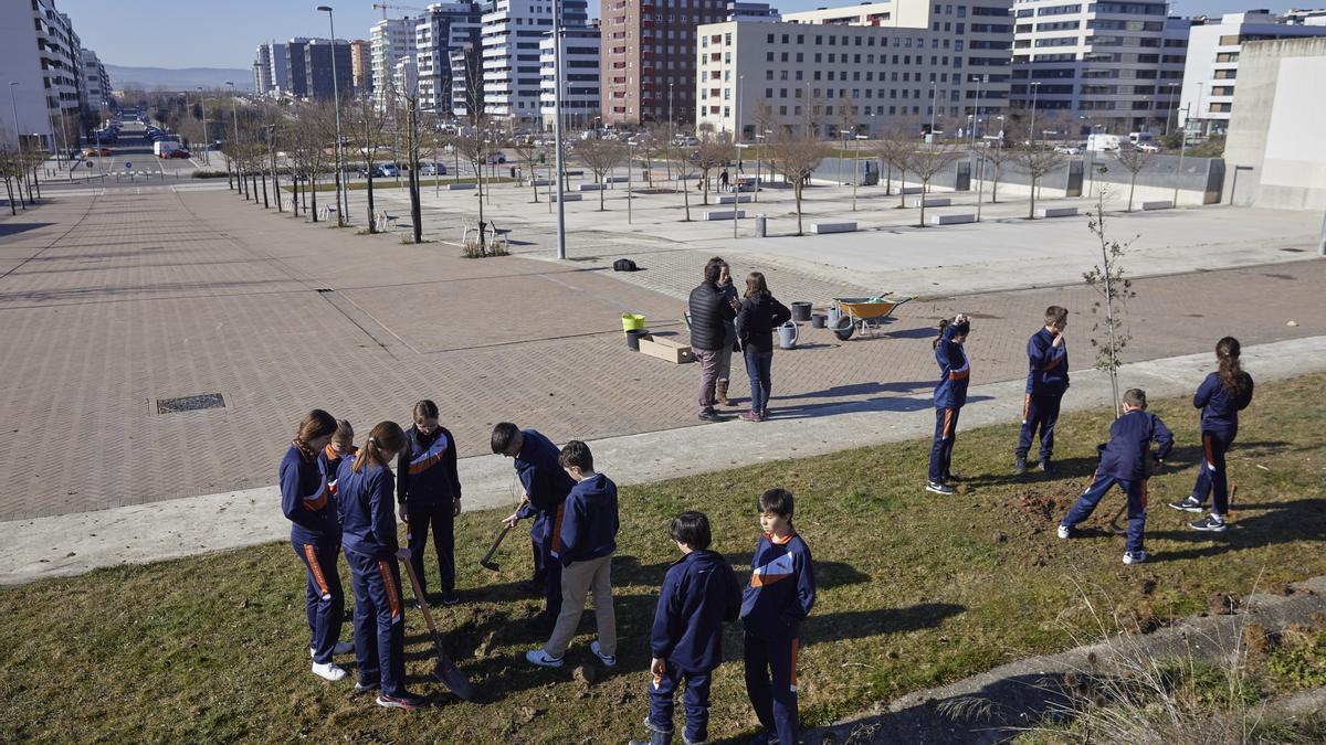 Los alumnos, durante los trabajos de renaturalización.