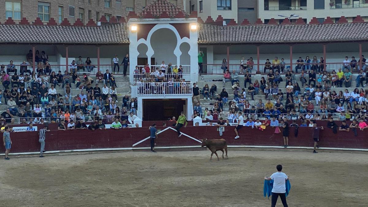 Un momento del espectáculo taurino del pasado sábado en Estella-Lizarra.