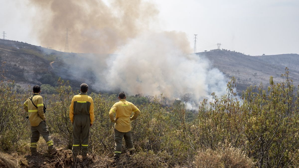 Incendio forestal en Cáceres