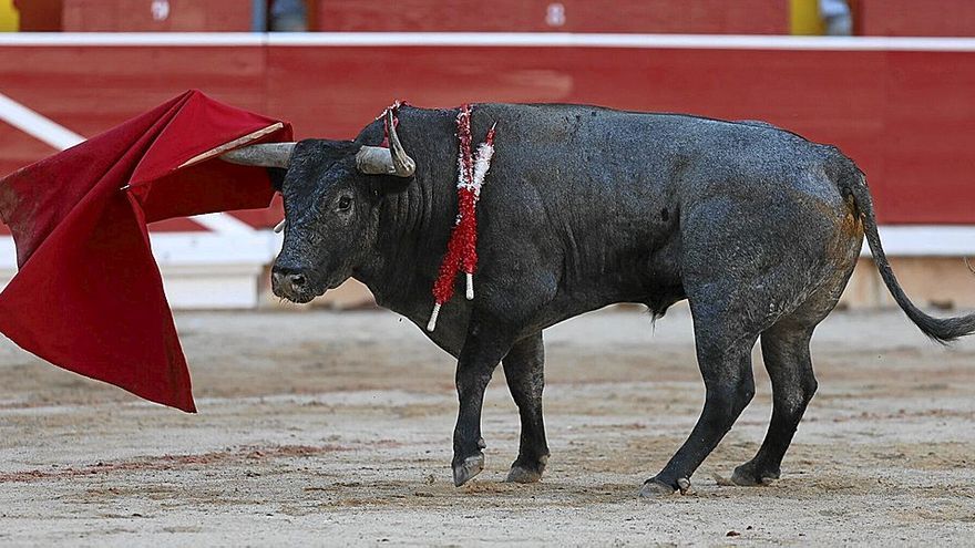 ‘Horquiñano I’ parece jugar con la muleta después de desarmar a Rubén Pinar. Foto: Unai Beroiz