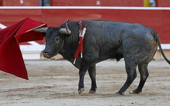 ‘Horquiñano I’ parece jugar con la muleta después de desarmar a Rubén Pinar. Foto: Unai Beroiz