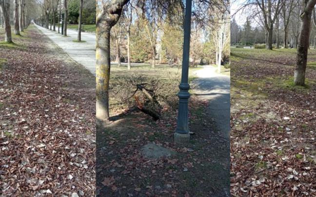 Vecinos de Lakua-Arriaga reclaman que se retiren las hojas y ramas del parque vitoriano