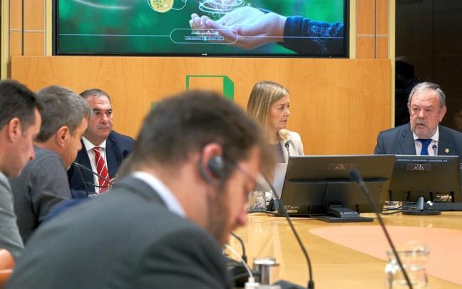 El consejero Azpiazu compareció ayer en el Parlamento. El consejero Azpiazu compareció ayer en el Parlamento.