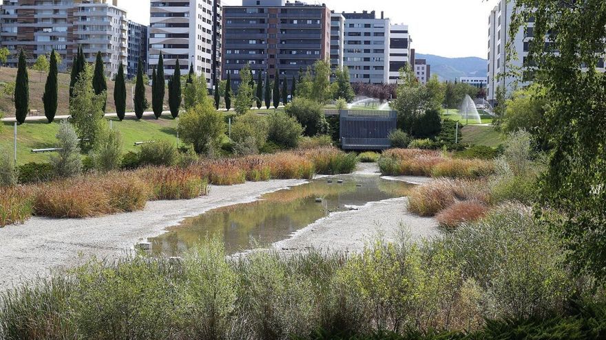 Peces muertos en el lago de Erripagaña