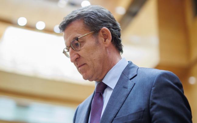 El líder del PP, Alberto Núñez Feijóo. El líder del PP, Alberto Núñez Feijóo.