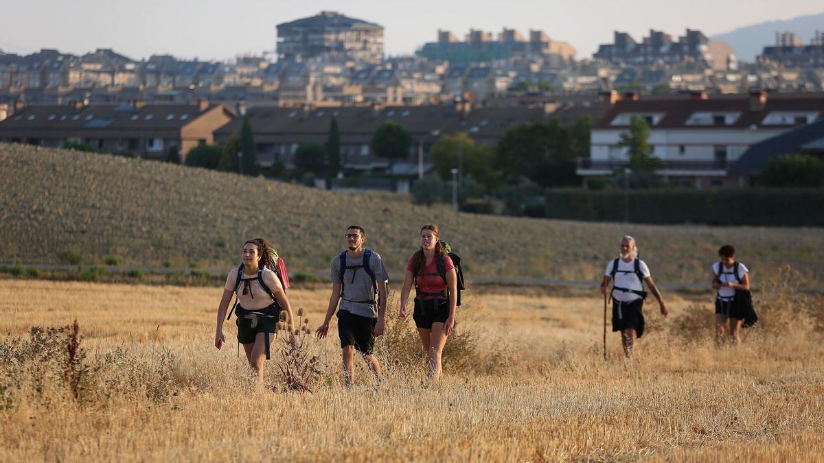 Peregrinos realizando el Camino de Santiago con Zizur al fondo.