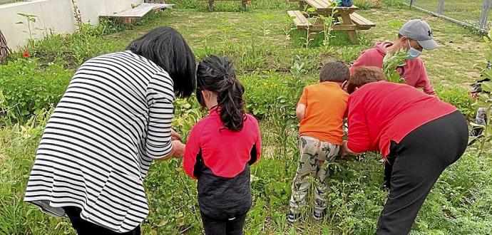 Familias cuidando el huerto escolar del colegio Errekabarri de Salburua. Foto: AMPA Errekabarri Eguzkia