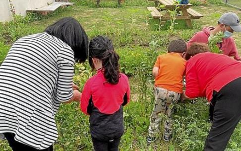 Familias cuidando el huerto escolar del colegio Errekabarri de Salburua. Foto: AMPA Errekabarri Eguzkia Familias cuidando el huerto escolar del colegio Errekabarri de Salburua. Foto: AMPA Errekabarri Eguzkia