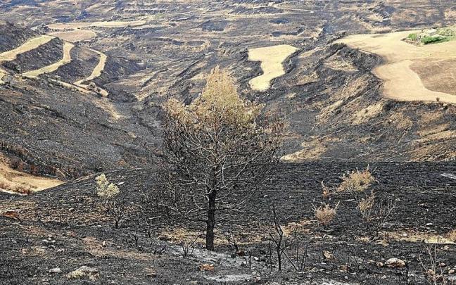 Zona calcinada cercana a Ujué