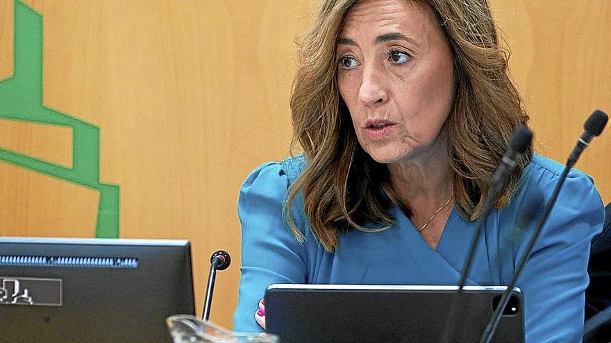 La consejera de Autogobierno, Olatz Garamendi, durante su comparecencia de ayer. | FOTO: EFE