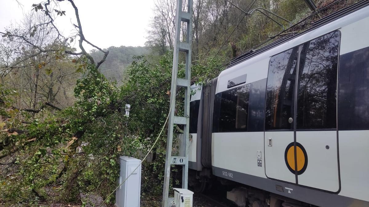 Un árbol ha caído sobre un tren de Euskotren entre Usurbil y Zumaia.
