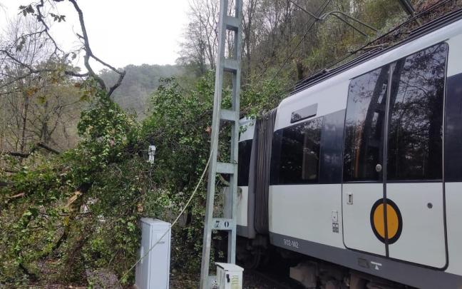 Un árbol ha caído sobre un tren de Euskotren entre Usurbil y Zumaia.