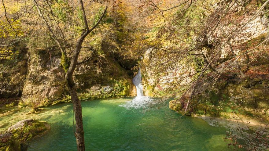 Nacedero del Urederra.