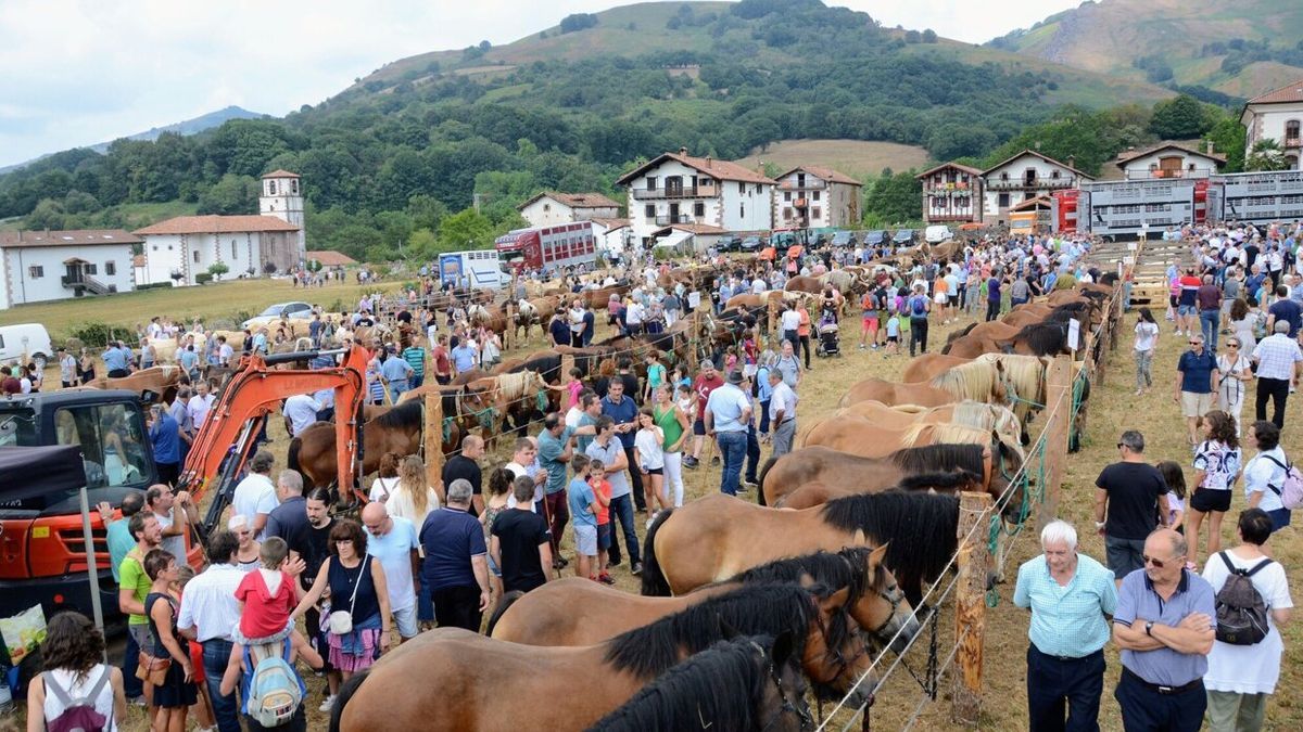 La campa que acogió al ganado, más numeroso que nunca, recibió a una multitud por la mañana.