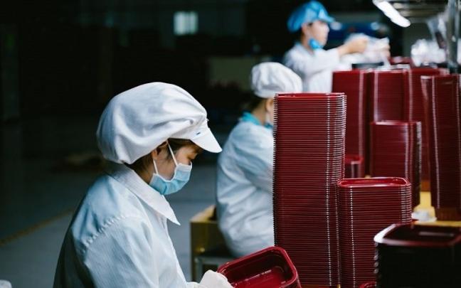 El real decreto entrar&aacute; en vigor 20 d&iacute;as despu&eacute;s de su publicaci&oacute;n en el BOE.