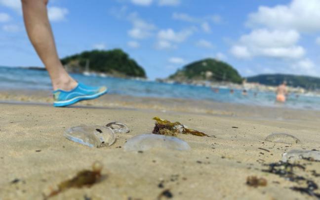 Una persona camina entre salpas en la playa de Ondarreta esta tarde Una persona camina entre salpas en la playa de Ondarreta esta tarde