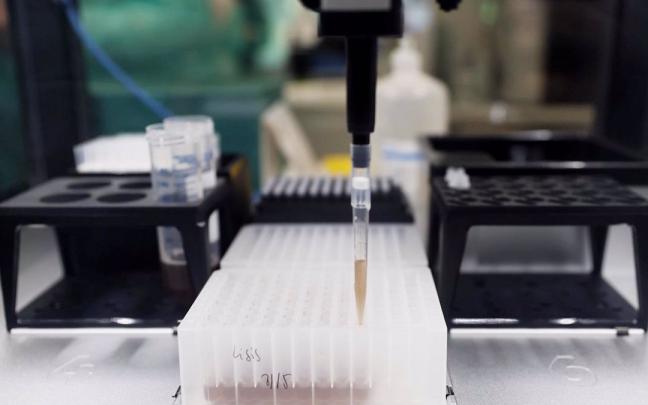 Probetas para la realizaci&oacute;n de pruebas pcr