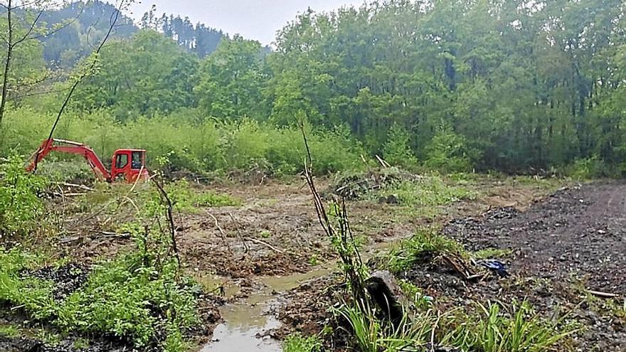 La maleza había tomado el terreno del antiguo campo de fútbol. | FOTO: AYTO. ZEBERIO