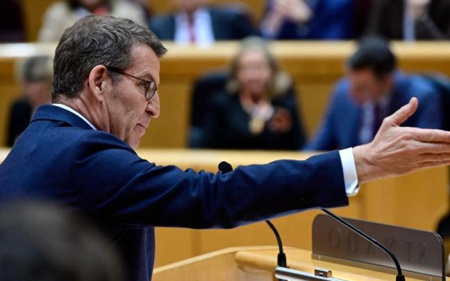 Feij&oacute;o se enfrenta a S&aacute;nchez en el Senado.