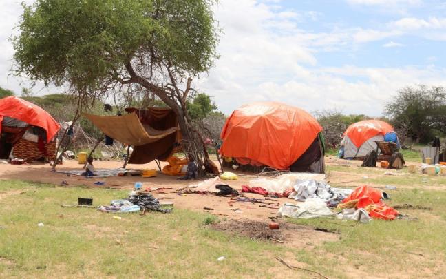 Familias afectadas por la sequía en Somalia. Familias afectadas por la sequía en Somalia.