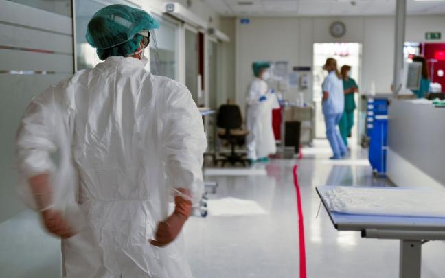 Los hospitales vascos han disparado su ocupaci&oacute;n